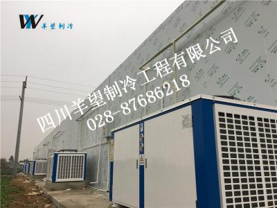 青白江玉虹水產(chǎn)養(yǎng)殖 保鮮庫 